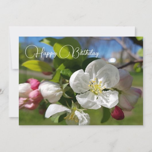 Invitation Fleur blanche de pommier. Joyeux anniversaire (Devant)