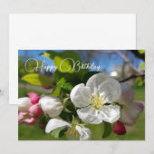 Invitation Fleur blanche de pommier. Joyeux anniversaire (Devant / Derrière)