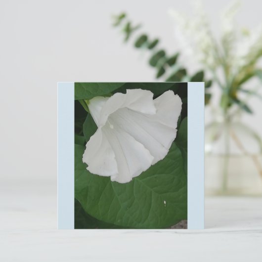 Invitation Fleur blanche en forme de trompette (Debout devant)