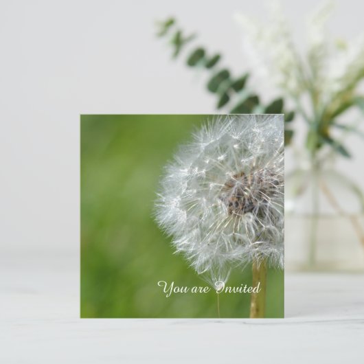 Invitation Fleur Dandelion Anniversaire (Debout devant)