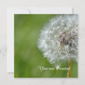 Invitation Fleur Dandelion Anniversaire (Devant)