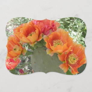 Invitation Fleur de cactus