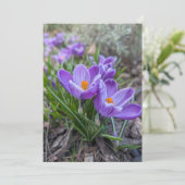 Invitation Fleur de Crocus Pourpre (Debout devant)