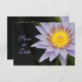 Invitation Fleur de Lotus Pourpre Mariage Save the Date (Devant / Derrière)