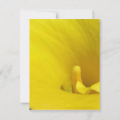 Invitation Fleur de lys calla jaune (Dos)