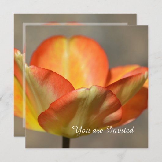 Invitation Fleur de Peach Tulip Anniversaire (Devant / Derrière)