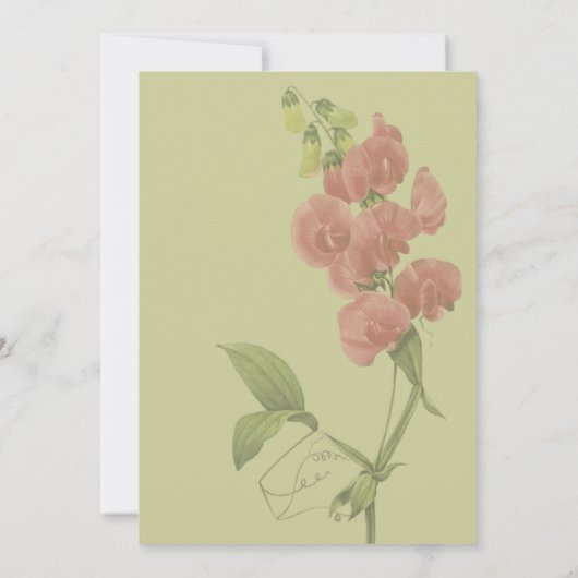 Invitation Fleur de pois doux rose (Dos)