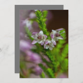 Invitation Fleur de printemps de Heather à feuillage persista (Devant / Derrière)