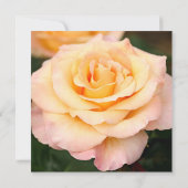 Invitation Fleur de rose rose païenne 80e anniversaire (Dos)