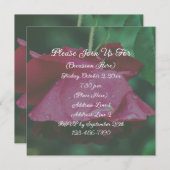 Invitation Fleur de rose rouge (Devant / Derrière)