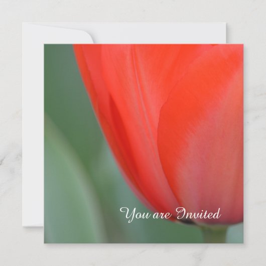 Invitation Fleur de tulipe rouge Anniversaire (Devant)