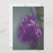 Invitation Fleur de tulipe violette (Dos)