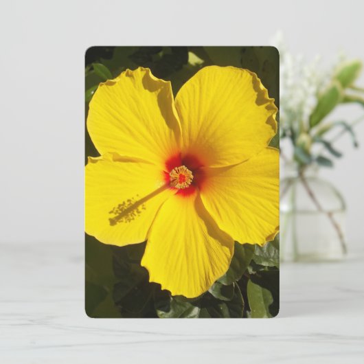 Invitation Fleur d'Hibiscus jaune (Debout devant)