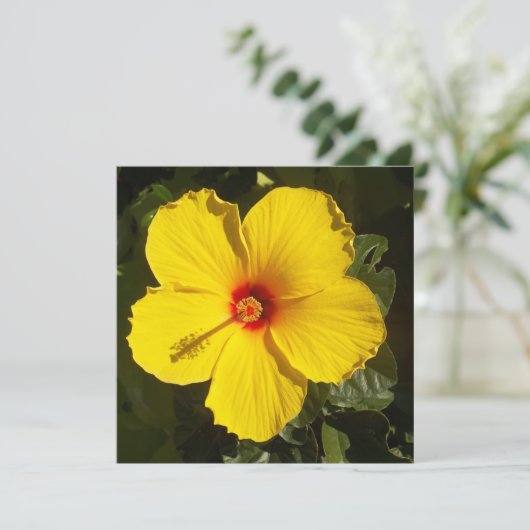 Invitation Fleur d'Hibiscus jaune (Debout devant)