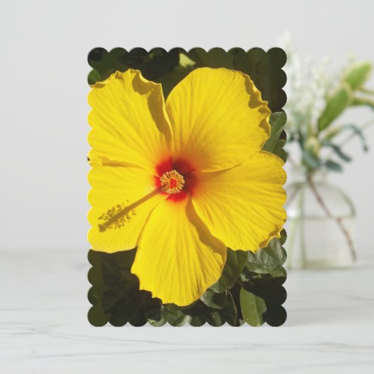 Invitation Fleur d'Hibiscus jaune (Debout devant)