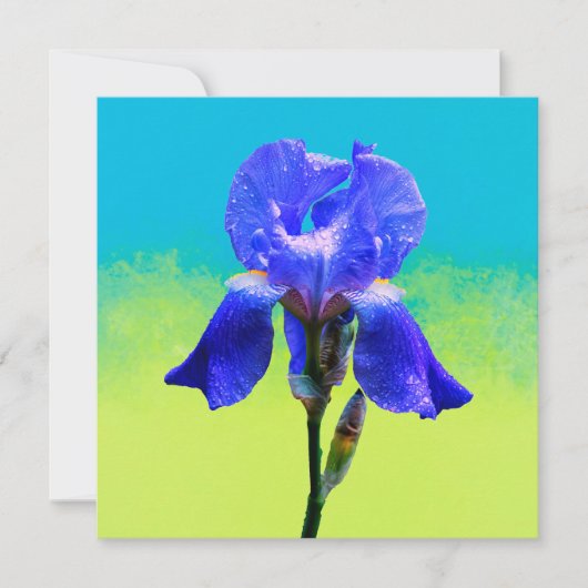 Invitation Fleur d'iris (Devant)
