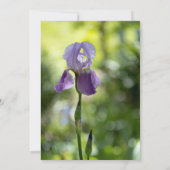 Invitation Fleur d'Iris Violet Mariage de printemps vert (Dos)