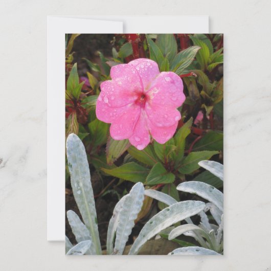 Invitation Fleur Humide, personnaliser (Devant)