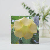 Invitation Fleur jaune d'or de trompette d'anges (Debout devant)
