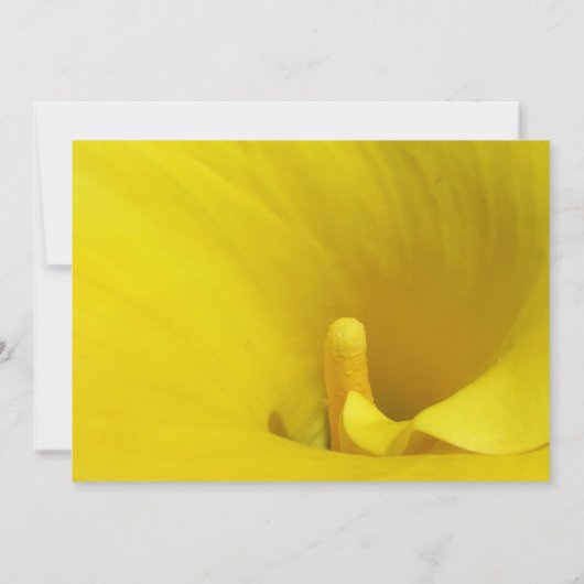Invitation Fleur Lily Calla Jaune (Dos)