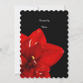 Invitation Fleur rouge Amaryllis Douche nuptiale (Dos)