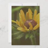 Invitation Fleur Susan aux yeux noirs (Dos)