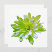 Invitation Fleur vert vert vert vert pâle marguerite (Devant / Derrière)