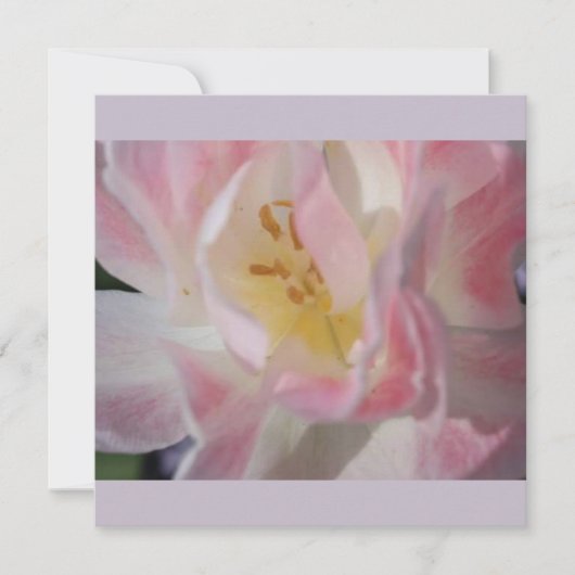 Invitation Fleur Vierge (Devant)