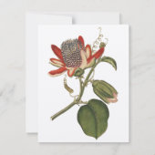 Invitation Fleur vintage Passion (Dos)