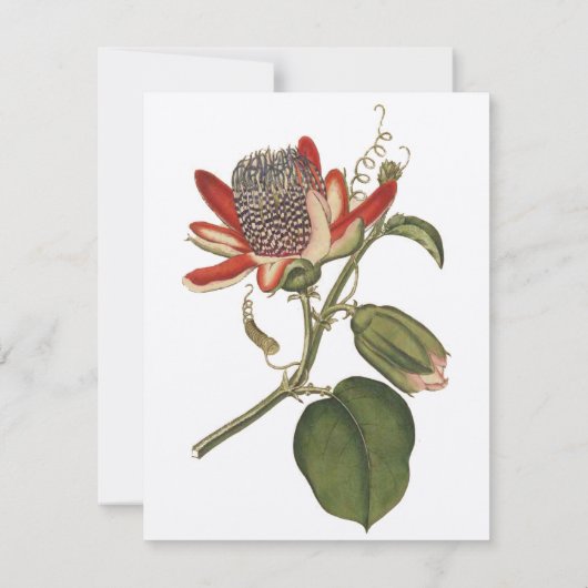 Invitation Fleur vintage Passion (Dos)