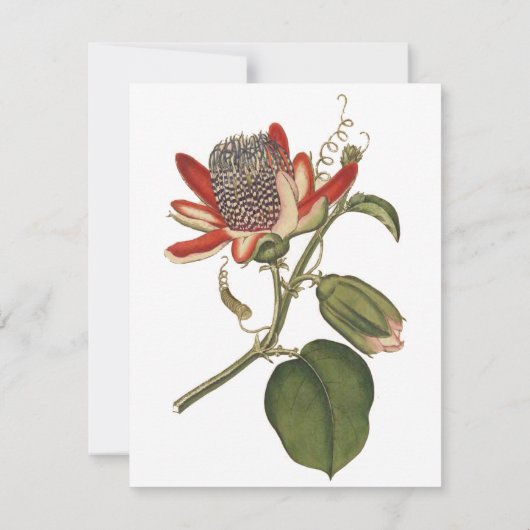 Invitation Fleur vintage Passion (Dos)