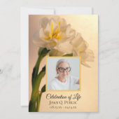 Invitation Fleurs blanches de jonquille Célébration de la vie (Devant)