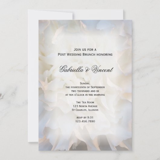 Invitation Fleurs de carnation blanche Post Mariage Brunch (Devant)