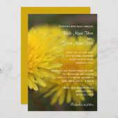 Invitation Fleurs de dandelion sauvage printemps, été, mariag (Devant / Derrière)