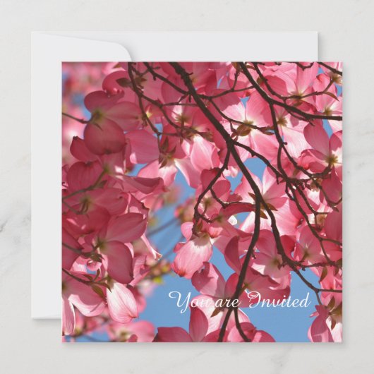 Invitation Fleurs de Dogwood Rose Anniversaire (Devant)
