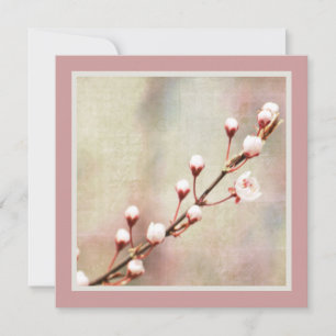 Invitation Fleurs de fleurs de cerisier