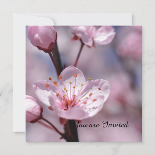 Invitation Fleurs de fleurs de cerisier Anniversaire (Devant)