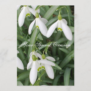 Invitation Fleurs de Neige