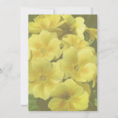 Invitation Fleurs de Primrose Jaune (Dos)