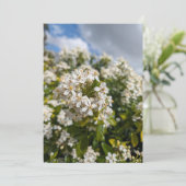 Invitation Fleurs d'Indian Hawthorn (Debout devant)