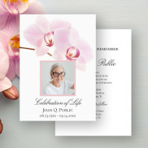 Fleurs d'orchidées roses sur fond blanc pour la cé
