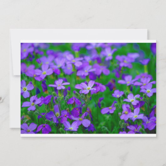 Invitation Fleurs Violettes (Devant)