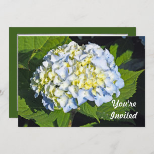 Invitation Floral Blue and Yellow Hydrangea Photo Anniversair