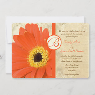 Invitation Floral Orange Coral Gerber Daisy Mariage dentelle
