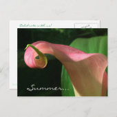 Invitation Floral Summer Solstice Party (Devant / Derrière)