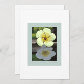 Invitation florale. Toutes occasions. (Devant / Derrière)