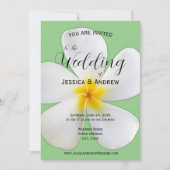 Invitation Flore tropicale, Plumeria blanche sur Sage, Mariag (Devant)