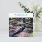 Invitation Floride Gator (Debout devant)