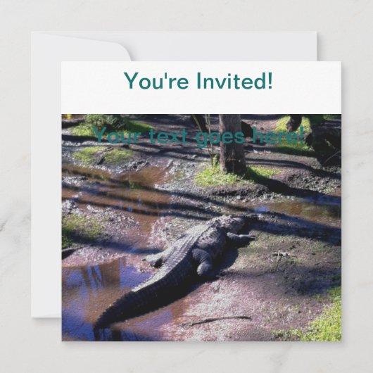 Invitation Floride Gator (Devant)