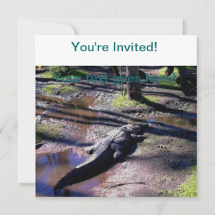 Invitation Floride Gator
